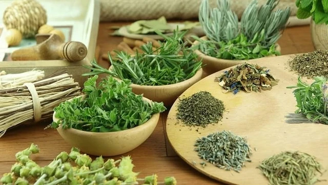 bai-viet/nhung-cay-thuoc-nam-chua-dau-day-than-kinh-lien-suon.html