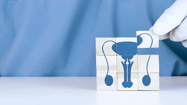 bai-viet/nhung-diem-quan-trong-trong-giai-phau-thung-tinh-ma-ban-can-biet.html