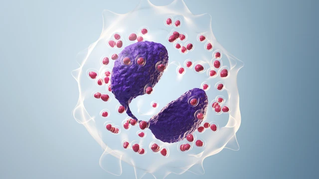 bai-viet/nhung-dieu-can-biet-ve-bach-cau-ai-kiem-tang.html