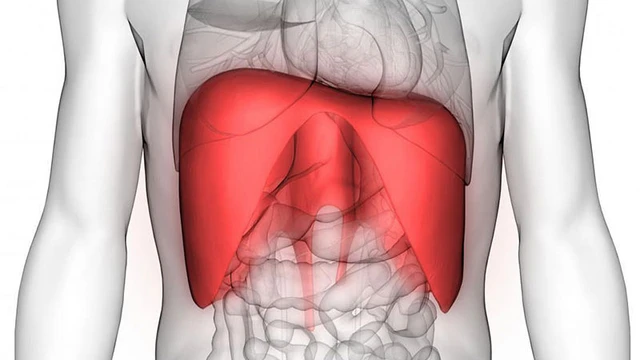 bai-viet/nhung-dieu-can-biet-ve-co-hoanh-co-hoanh-nam-o-dau-lam-gi-khi-bi-roi-loan-co-hoanh.html