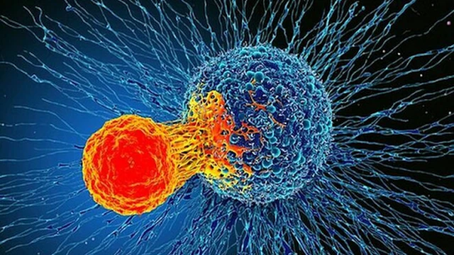 bai-viet/nhung-dieu-can-biet-ve-tac-dung-phu-cua-lieu-phap-mien-dich-58879.html