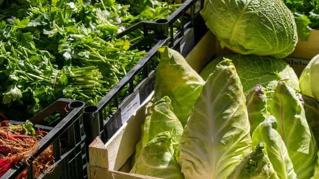 bai-viet/nhung-loai-rau-trong-khong-can-nang-ban-co-the-trong-tai-nha.html