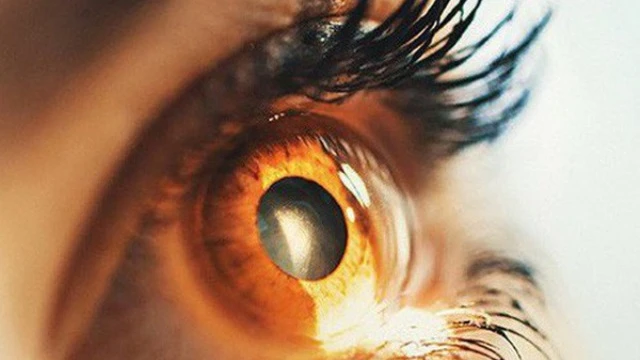 bai-viet/nhung-loai-thuoc-tri-thoai-hoa-diem-vang-55550.html