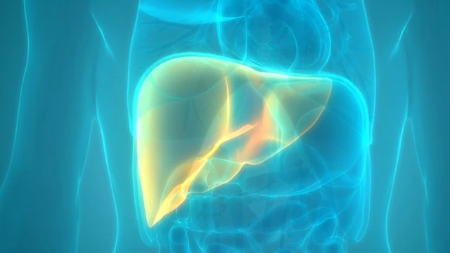 bai-viet/nhung-phuong-phap-dieu-tri-viem-gan-phu-hop-voi-tung-nguyen-nhan-gay-benh.html