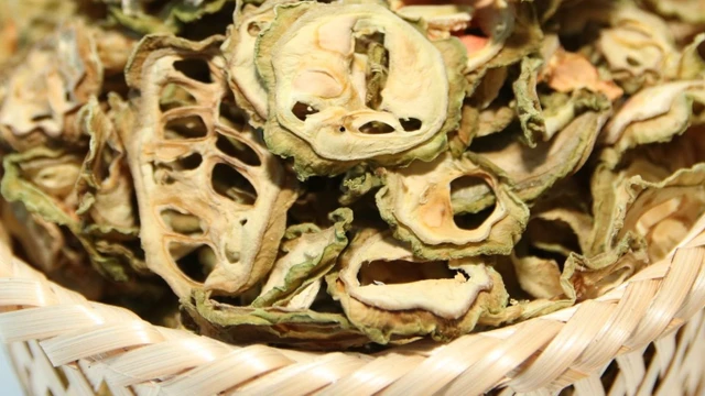 bai-viet/nhung-tac-dung-cua-kho-qua-rung-ma-co-the-ban-chua-biet.html