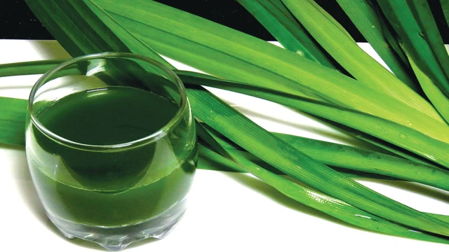 bai-viet/nhung-tac-dung-than-ky-cua-la-dua-voi-benh-tieu-duong.html