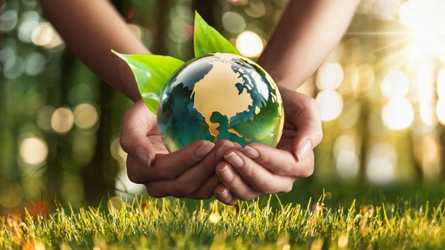 bai-viet/nhung-viec-lam-bao-ve-moi-truong-ai-cung-co-the-tham-gia.html