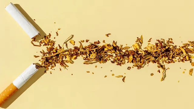 bai-viet/nicotine-co-gay-ung-thu-khong-tac-dung-that-su-cua-nicotine-la-gi.html