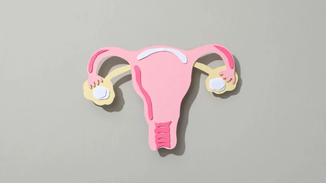 bai-viet/niem-mac-tu-cung-day-12mm-co-thai-khong-nhung-dieu-me-can-biet.html