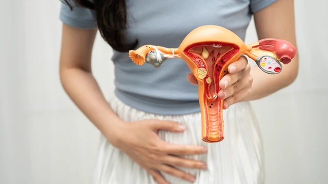 Niêm mạc tử cung dày 19mm có thai không? Dấu hiệu mang thai trên siêu âm