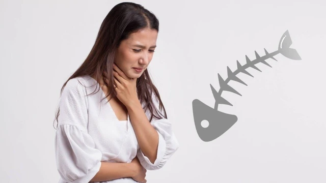 bai-viet/noi-soi-gap-xuong-ca-bao-nhieu-tien-nhung-dieu-can-luu-y.html