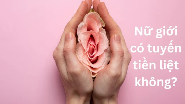 bai-viet/nu-gioi-co-tuyen-tien-liet-khong-cau-tra-loi-tu-chuyen-gia.html