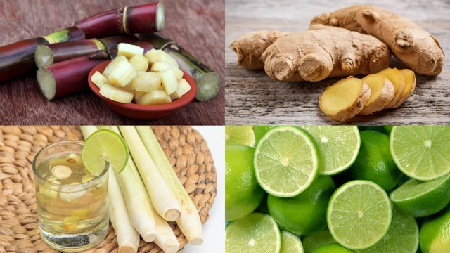 bai-viet/nuoc-mia-gung-sa-chanh-co-tac-dung-gi-nhung-luu-y-quan-trong-khi-su-dung-nuoc-mia-gung-sa-chanh.html