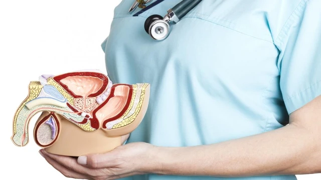 bai-viet/ong-dan-tinh-la-gi-mot-so-thong-tin-ve-benh-tac-ong-dan-tinh-ban-can-biet.html