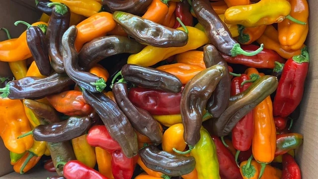 Ớt trái cây có tác dụng gì? Có tốt cho sức khỏe không?