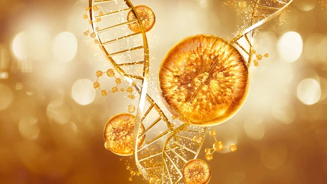 bai-viet/pdrn-la-gi-dinh-nghia-va-ban-chat-cua-pdrn.html