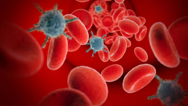 bai-viet/phac-do-dieu-tri-nhiem-trung-mau-o-tre-em-nhu-the-nao-cac-bien-phap-phong-tranh.html