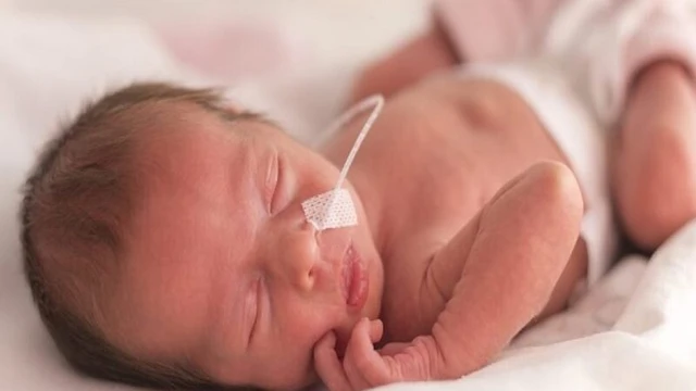 bai-viet/phac-do-gio-vang-la-gi-phep-mau-cho-tre-sinh-non.html