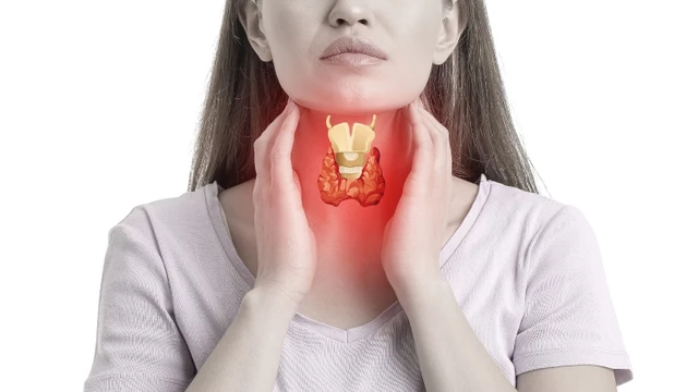 bai-viet/tim-hieu-ve-buou-giap-va-phan-do-buou-giap.html