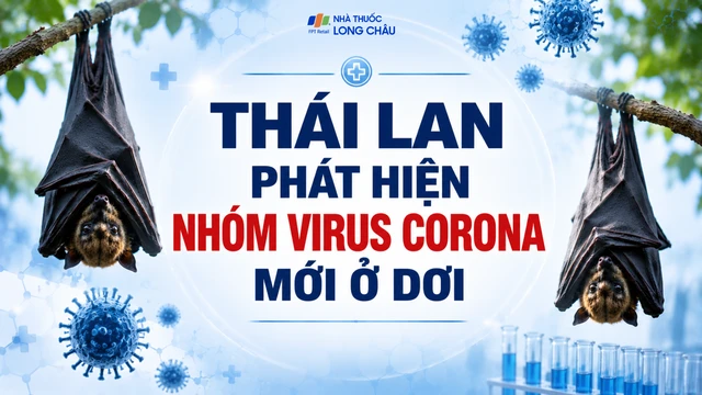 bai-viet/phat-hien-nhom-virus-corona-moi-o-doi-phong-ngua-the-nao-cho-an-toan-10009.html