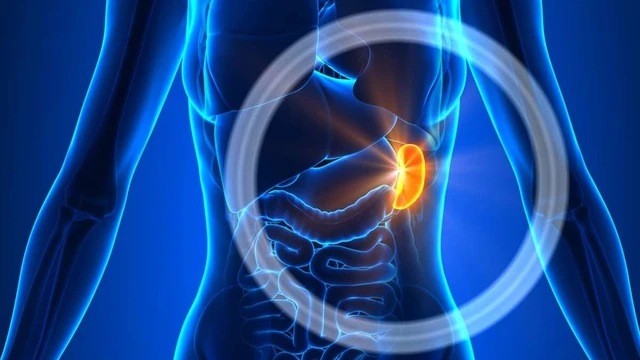 bai-viet/phinh-dong-mach-lach-nguyen-nhan-trieu-chung-chan-doan-va-phuong-phap-dieu-tri.html