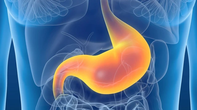 bai-viet/phinh-vi-da-day-va-mot-so-benh-ly-thuong-gap.html