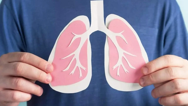 bai-viet/an-gi-bo-phoi-8-loai-thuc-pham-tot-cho-phoi.html