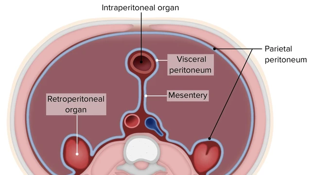 bai-viet/phuc-mac-la-gi-nguyen-nhan-gay-viem-phuc-mac.html