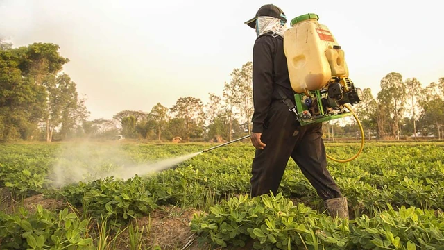 bai-viet/phun-thuoc-tru-sau-may-ngay-thi-an-duoc-huong-dan-an-toan-cho-suc-khoe.html
