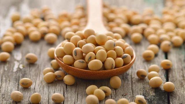 bai-viet/phytoestrogen-la-gi-nhung-loi-ich-ma-phytoestrogen-mang-lai.html