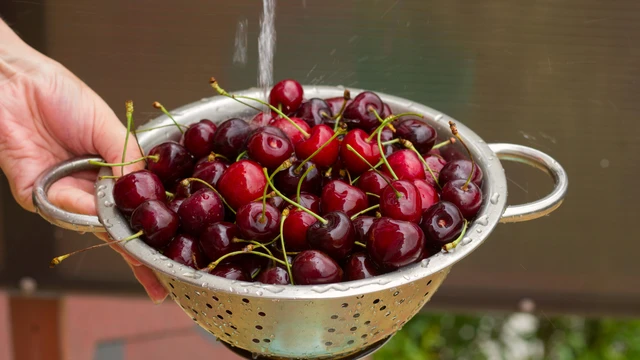 bai-viet/qua-anh-dao-va-qua-cherry-khac-nhau-nhu-the-nao-loi-ich-dinh-duong-can-biet.html