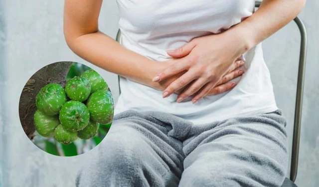 bai-viet/qua-ngai-la-qua-gi-ngo-doc-qua-ngai-co-nguy-hiem-khong-56809.html