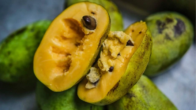 bai-viet/tat-tan-tat-ve-qua-pawpaw-cong-dung-gia-tri-dinh-duong-va-cach-dung.html