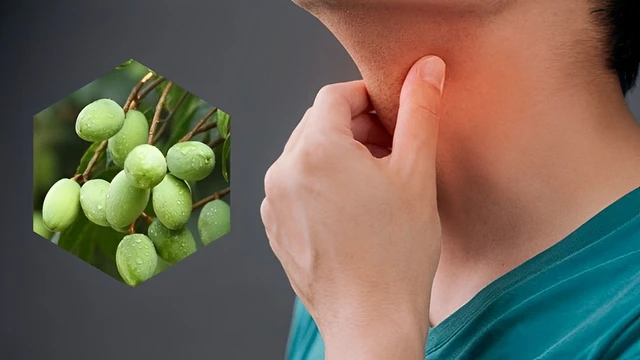 bai-viet/su-dung-qua-tram-tri-viem-hong-co-hieu-qua-khong.html