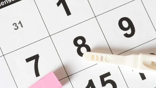 bai-viet/que-thu-rung-trung-bio-check-cho-ty-le-chinh-xac-cao-tang-kha-nang-thu-thai.html