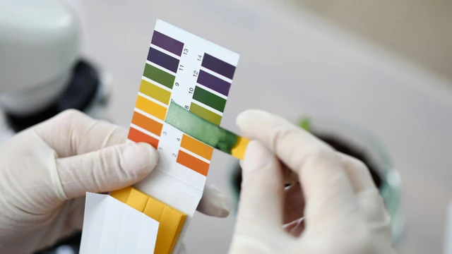 bai-viet/quy-tim-la-gi-cach-hoat-dong-va-nhung-ung-dung-thuc-te.html