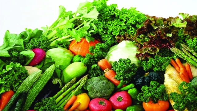 bai-viet/rau-cu-nao-chua-nhieu-canxi-danh-sach-cac-loai-rau-cu-tot-cho-xuong-khop.html