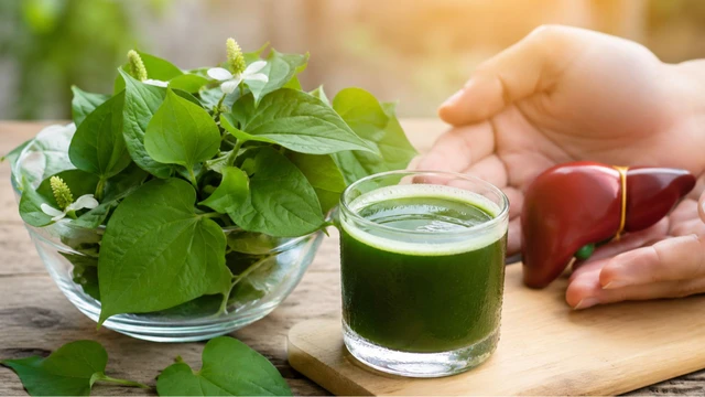 bai-viet/rau-diep-ca-giai-doc-gan-co-dung-khong-luu-y-khi-su-dung.html