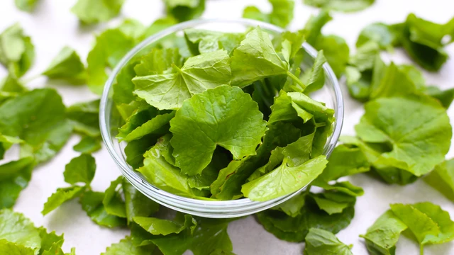 bai-viet/rau-ma-ky-voi-gi-cach-an-uong-rau-ma-an-toan.html