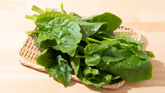 bai-viet/rau-mong-toi-co-tac-dung-gi-nhung-ai-khong-nen-an-rau-mong-toi.html