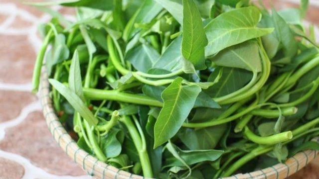 bai-viet/rau-muong-bao-nhieu-calo-an-nhieu-co-tot-khong-68063.html