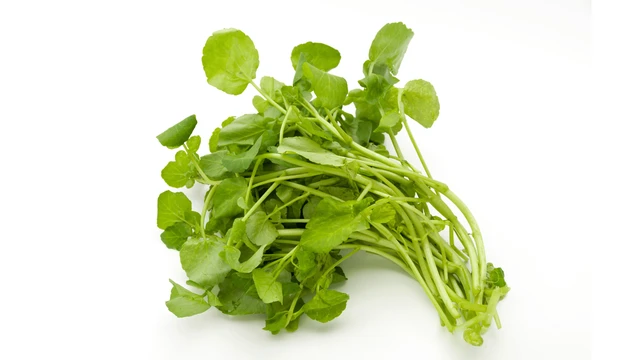 bai-viet/rau-xa-lach-xoong-ky-voi-gi-nhung-diem-can-luu-y-khi-an-xa-lach-xoong.html