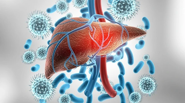 bai-viet/roi-loan-chuc-nang-gan-nhung-dieu-ban-can-biet-de-bao-ve-suc-khoe-cua-la-gan.html