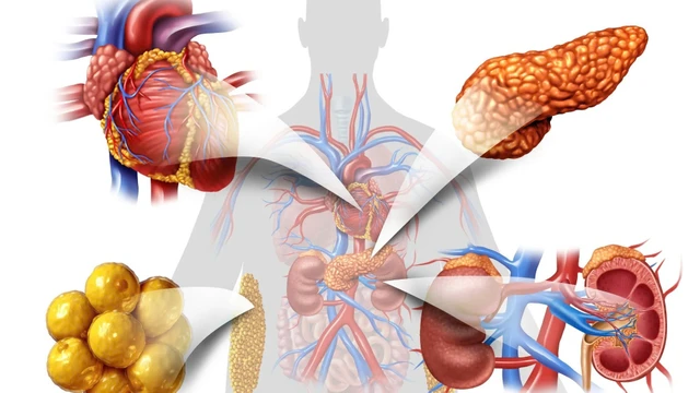 bai-viet/roi-loan-chuyen-hoa-di-truyen-nguyen-nhan-va-bieu-hien.html