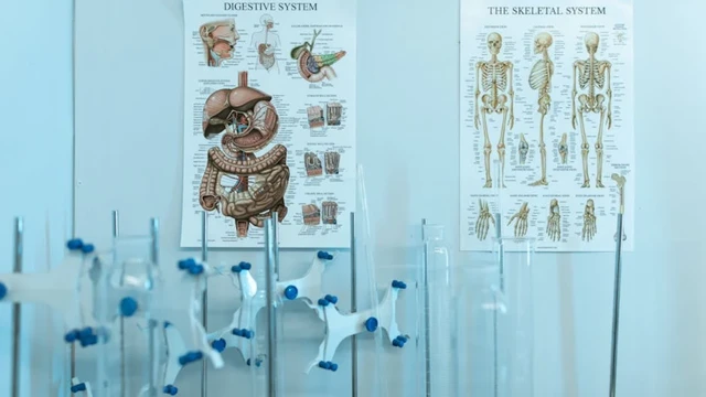 Rối loạn phổ viêm tủy thị thần kinh