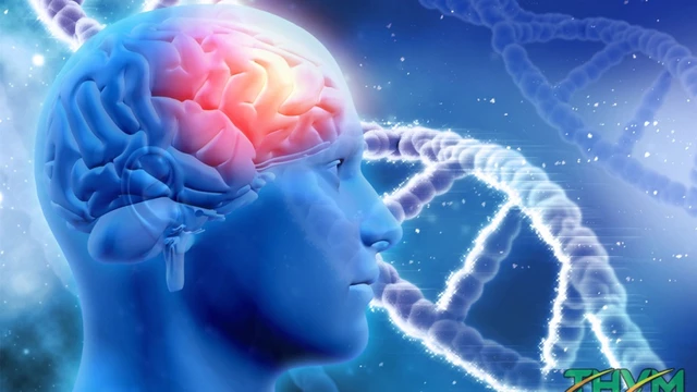 bai-viet/roi-loan-than-kinh-thuc-vat-co-chua-duoc-khong-cach-dieu-tri-hieu-qua.html