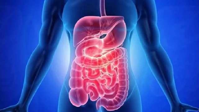 bai-viet/ruot-non-nguoi-dai-bao-nhieu-met-chuc-nang-cua-ruot-non.html