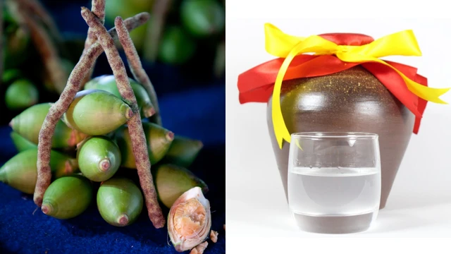 bai-viet/ruou-ngam-hat-cau-co-tac-dung-gi-doi-voi-suc-khoe.html