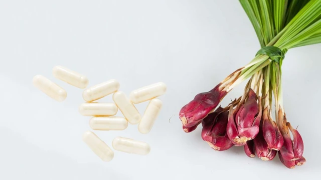 Sâm đại hành có tác dụng gì? Công dụng và lưu ý khi dùng