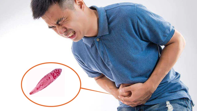 bai-viet/san-la-gan-nho-nguyen-nhan-bieu-hien-va-bien-phap-phong-chong.html